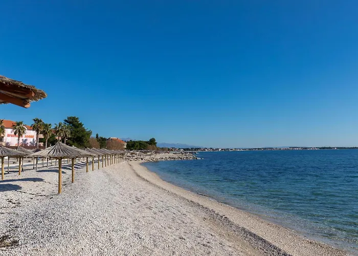 Bojo, No 2 Daire Vir